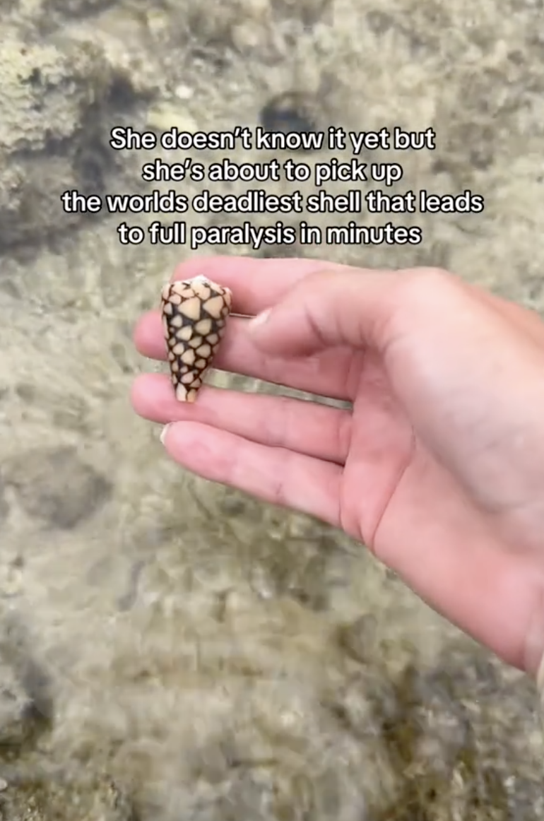 woman holding a shell